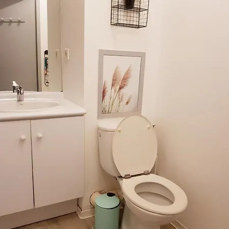 Cote Metro Avec Piscine Et Parking Gratuit